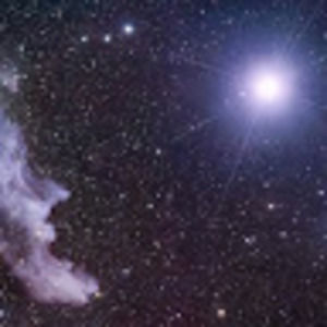 Meet your Posher, Edgar